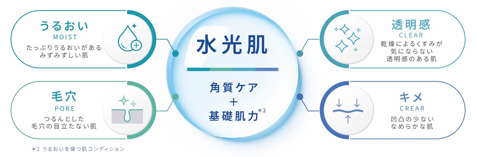 rall.＋が掲げる水光肌の4要素の図