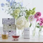 「体調で選ぶ」ハーブティー。シンガポールの病院も採用したWHITETREE