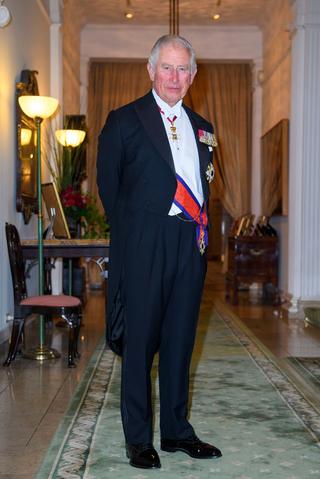 イギリスのチャールズ皇太子