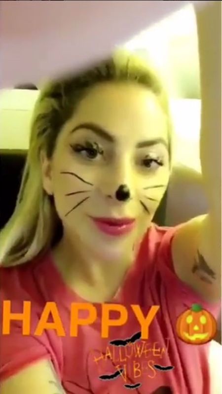 レディー・ガガ　Lady Gaga　2年ぶりの来日　機内の持込荷物　ギター　マイク　ハロウィン　