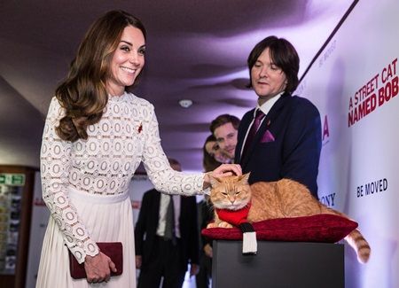 キャサリン妃 ウィリアム王子 Duke and Duchess of Cambridge 2016年まとめ 展示会