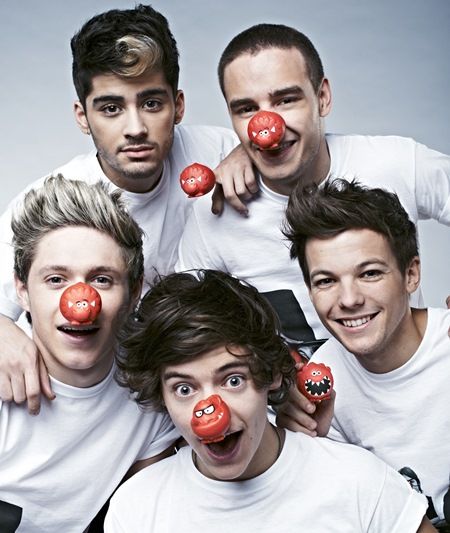ゼイン・マリク　Zayn Malik　ワン・ダイレクション　自伝本『ZAYN』　9個の暴露　Red Nose Day