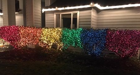 LGBT  レインボー　クリスマスライト Christmas