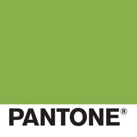 2017年の色　パントン　Pantone　グリーナリー　Greenery　