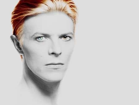 デヴィッド・ボウイ　地球に落ちてきた男　David Bowie