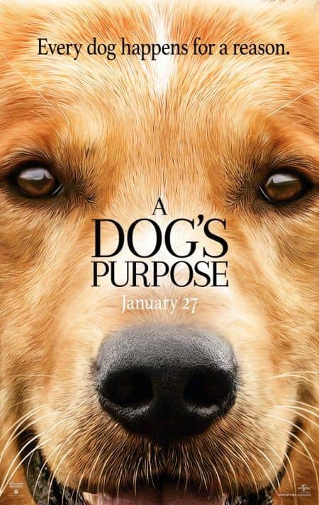 A Dog's Purpose ア・ドッグズ・パーパス ポスター