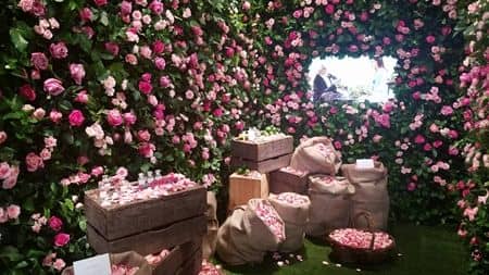 ディオール Dior ミスディオール 70周年 イベント 1日限り 表参道 東京 香水 フレグランス フォトスポット バラ