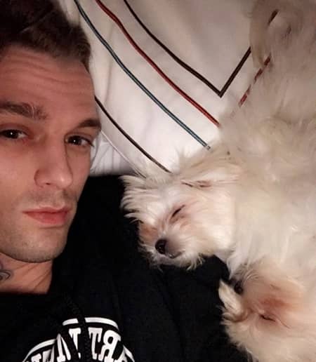 アーロン・カーター　「差別発言で暴行被害」報道に反論　愛犬とベッドで寝ている写真をツイート