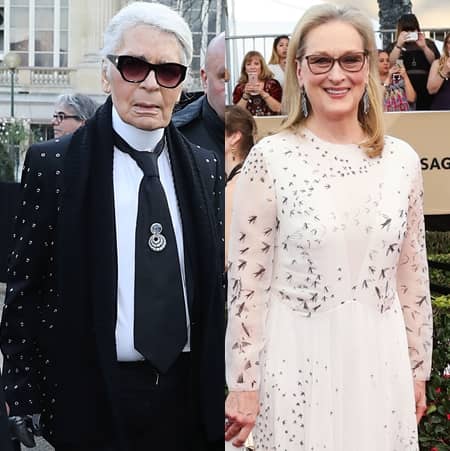 メリル・ストリープ Meryl Streep カール・ラガーフェルド Karl Lagerfeld 第89回アカデミー賞 オスカー ドレス バトル 非難 オスカー女優