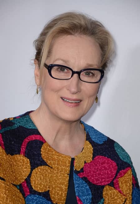 メリル・ストリープ　Meryl Streep　カール・ラガーフェルド　Karl Lagerfeld　第89回アカデミー賞　オスカー　ドレス　バトル　非難　オスカー女優