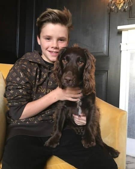 クルス・ベッカム　Cruz Beckham　ルイ・ヴィトン　Louis Vuitton　シュプリーム　Supreme　コラボ　未発表　フーディ　パーカ　特別　キム・ジョーンズ
