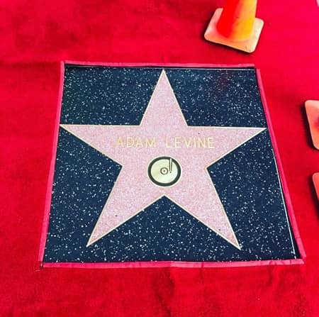 ベハティ・プリンスルー Behati Prinsloo アダム・レヴィーン Adam Levine ハリウッドの殿堂 ハリウッド名声の歩道 Hollywood Walk of Fame 子供 初お目見え 初公開 ダスティ・ローズ Dusty Rose