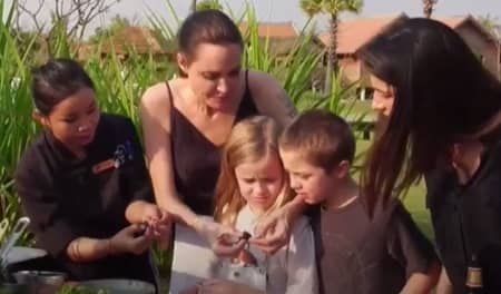アンジェリーナ・ジョリー　ノックス　ヴィヴィアン　Knox Vivienne　Angelina Jolie　昆虫食  Eat Bugs Spiders BBC World News