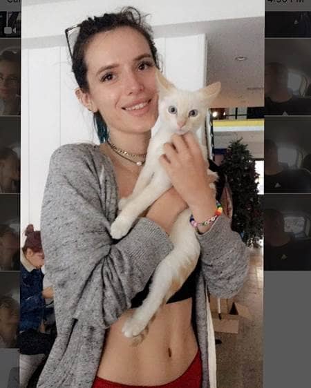 ベラ・ソーン トレス・レチェ 猫 Bella Thorne Tres Leches