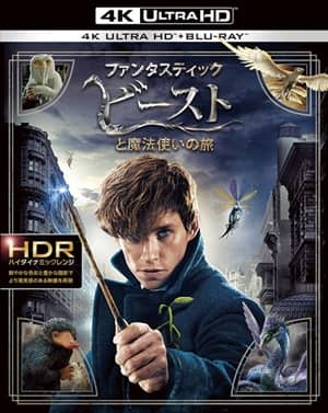 『ファンタスティック・ビーストと魔法使いの旅』　ファンタビ　映画　ハリー・ポッター　Fantastic Beasts and Where To Find Them Harry Potter Movie