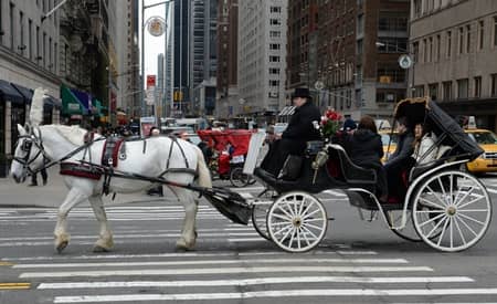 観光馬車 NY セントラルパーク Horse Carriage NY Central Park