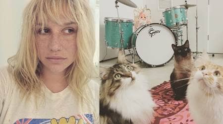 ケシャ チャーリー ミスター・ピープス ジンジャー 猫 ペット Kesha Charlie Mr.Peeps Ginger Cat