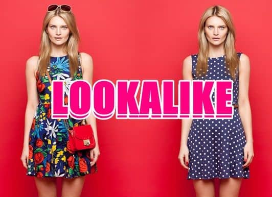 そっくり Lookalike