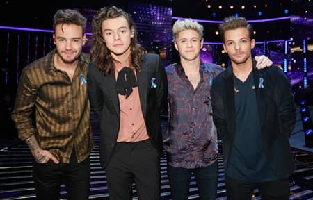 ワン・ダイレクション　One Direction 1D ハリー　リアム　ナイル　ルイ