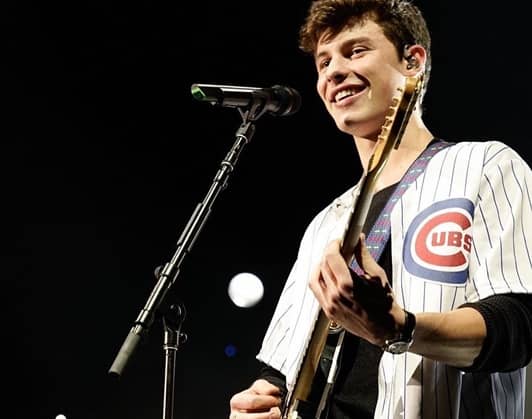 ショーン・メンデス Shawn Mendes Live Guitar