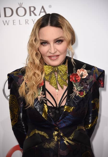 マドンナ　Madonna 　養子　双子　女の子　マラウイ共和国　子供6人　