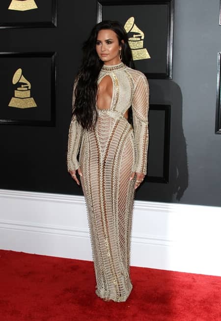 デミ・ロヴァート　Demi Lovato　第59回　グラミー賞　2017年　レッドカーペット　着用ドレス　ブランド　