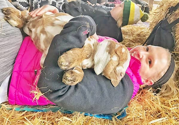 Goat Yoga ヤギヨガ