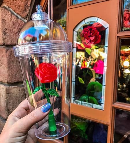美女と野獣　カップ　ディズニー　バラ　Beauty and the Beast Cup Disney Land 