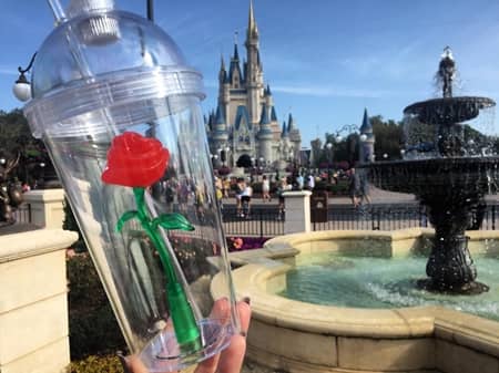 美女と野獣　カップ　ディズニー　バラ　Beauty and the Beast Cup Disney Land 