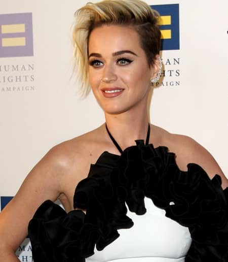 ケイティ・ペリー　Katy Perry Human Rights Campaign