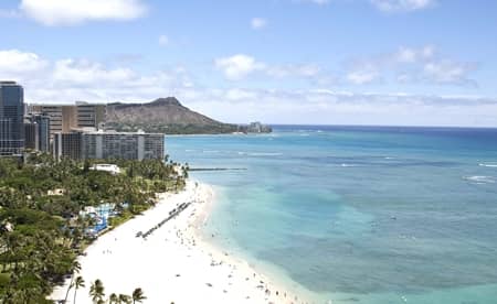 デルタ航空 ラシット russet バッグ コラボ ハワイ チケット 当たる 旅行 便利 トート ポーチ ショルダーバッグ